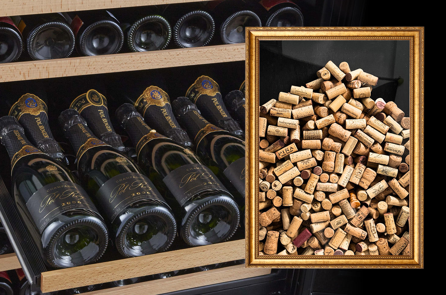 Store Larger Bottles