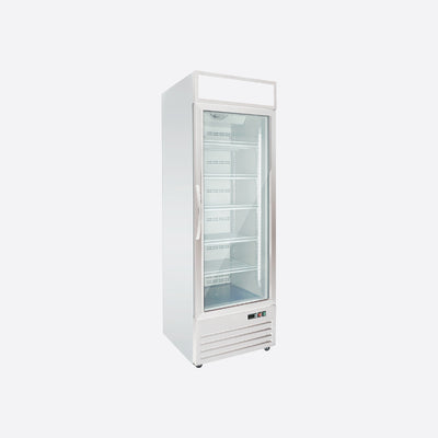Upright Ice Cream Freezer Showcase One Door 460 litres  KSF-460I
